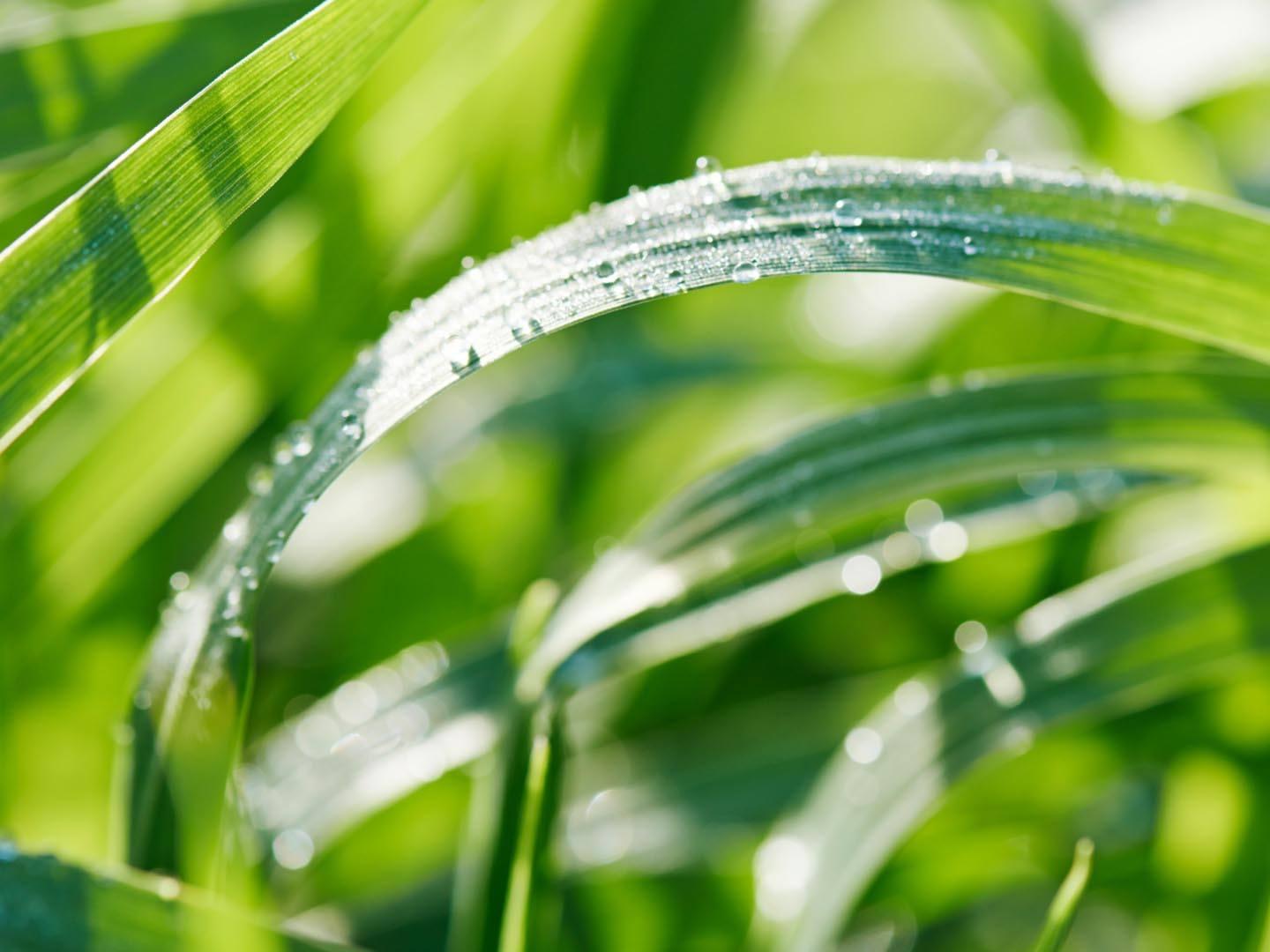 A-DERMA BOTANICAL EXPERTISE